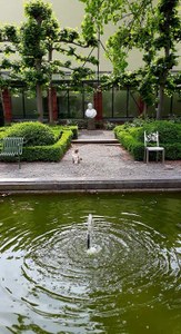  Un visiteur intrigué 