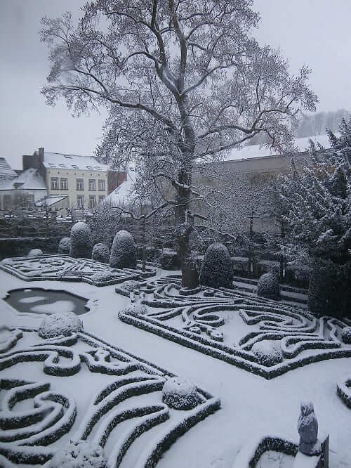 Le jardin sous la neige