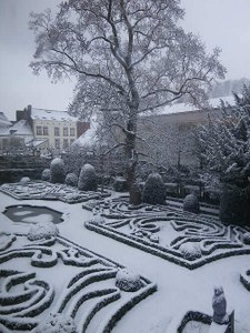  Le jardin sous la neige 
